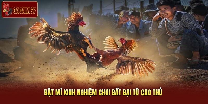 Bật mí kinh nghiệm chơi bất bại từ cao thủ 