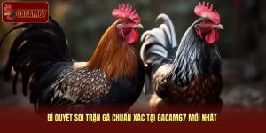 Bí Quyết Soi Trận Gà Chuẩn Xác Tại Gacam67 Mới Nhất 