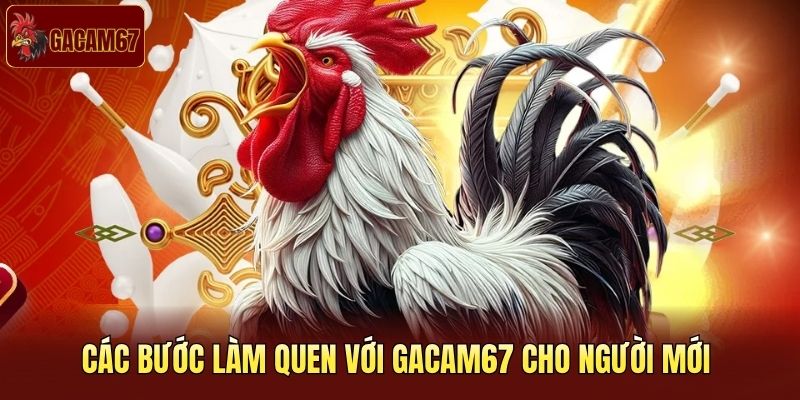 Các bước làm quen với Gacam67 cho người mới 
