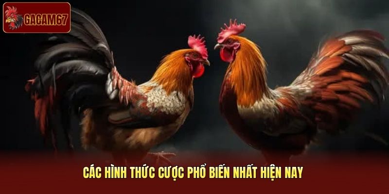 Các hình thức cược phổ biến nhất hiện nay 
