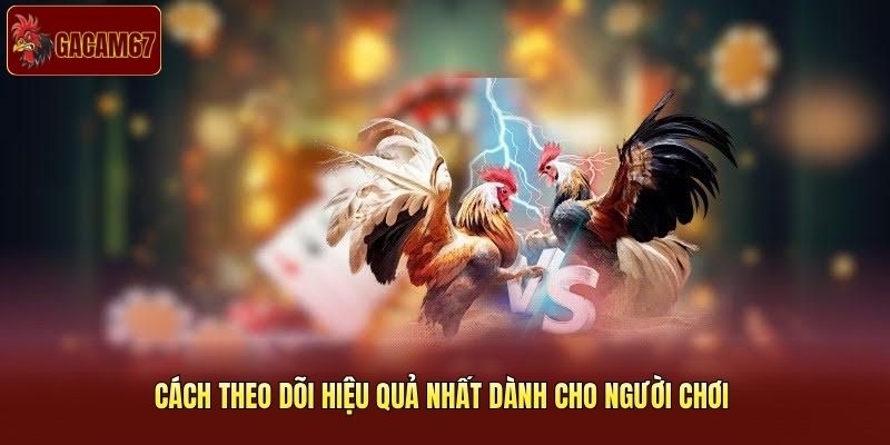 Cách theo dõi hiệu quả nhất dành cho người chơi Cách theo dõi hiệu quả nhất dành cho người chơi