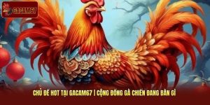Chủ Đề Hot Tại Gacam67 | Cộng Đồng Gà Chiến Đang Bàn Gì 