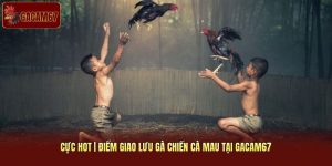 Cực Hot | Điểm Giao Lưu Gà Chiến Cà Mau Tại Gacam67