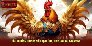 Đấu Trường Tonhon Siêu Kịch Tính, Đỉnh Cao Tại Gacam67