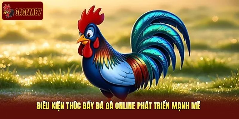 Điều kiện thúc đẩy đá gà online phát triển mạnh mẽ Điều kiện thúc đẩy đá gà online phát triển mạnh mẽ