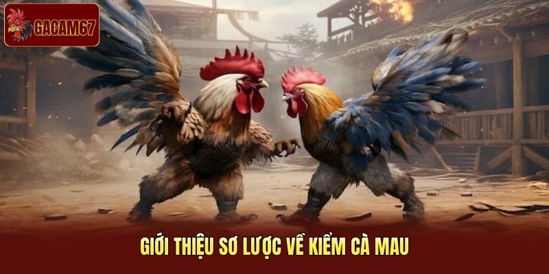 Giới thiệu sơ lược về Kiểm Cà Mau