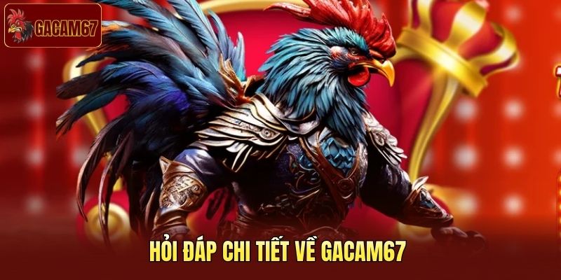 Hỏi đáp chi tiết về Gacam67 