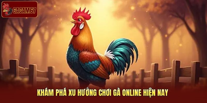 Khám phá xu hướng chơi gà online hiện nay Khám phá xu hướng chơi gà online hiện nay