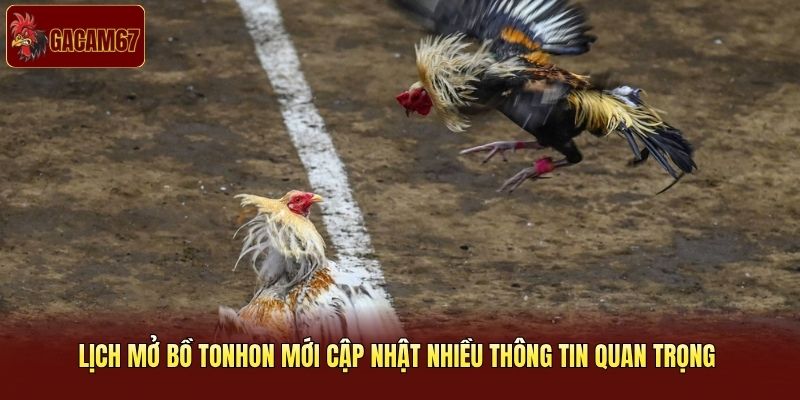 Lịch mở bồ Tonhon mới cập nhật nhiều thông tin quan trọng Lịch mở bồ Tonhon mới cập nhật nhiều thông tin quan trọng