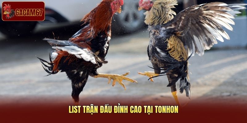 List trận đấu đỉnh cao tại Tonhon List trận đấu đỉnh cao tại Tonhon