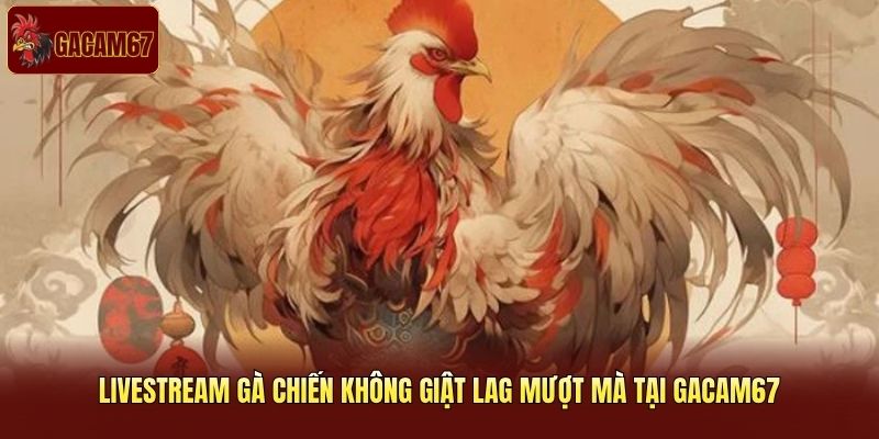 Livestream gà chiến không giật lag tại Gacam67 Livestream gà chiến không giật lag tại Gacam67