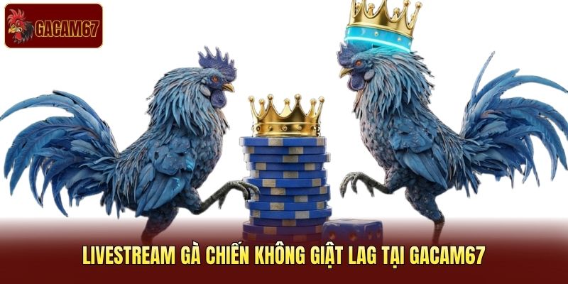 Livestream Gà Chiến Không Giật Lag Mượt Mà Tại Gacam67