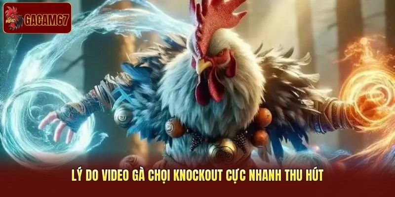 Lý do video gà chọi knockout cực nhanh thu hút Lý do video gà chọi knockout cực nhanh thu hút