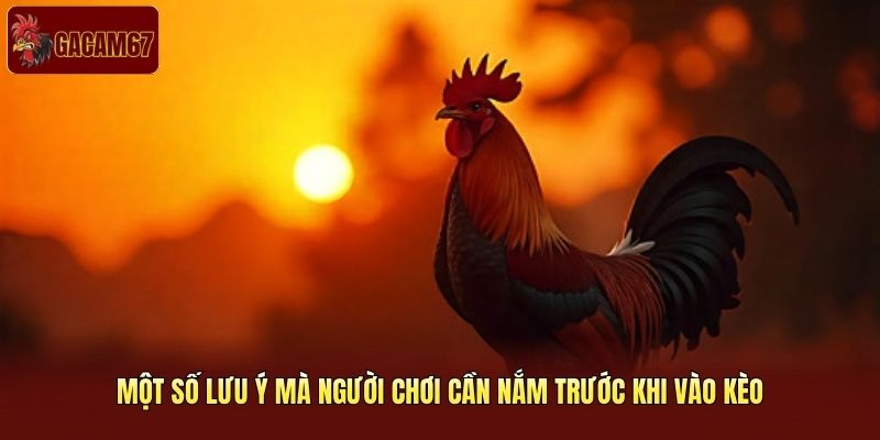 Một số lưu ý mà người chơi cần nắm trước khi vào kèo
