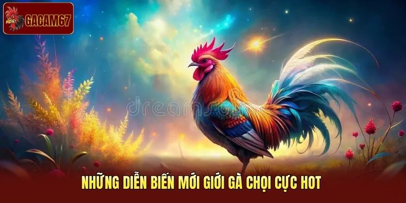 Những diễn biến mới giới gà chọi cực hot Những diễn biến mới giới gà chọi cực hot