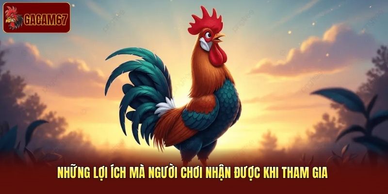 Những lợi ích mà người chơi nhận được khi tham gia Những lợi ích mà người chơi nhận được khi tham gia