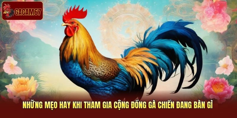 Những mẹo hay khi tham gia cộng đồng gà chiến đang bàn gì 