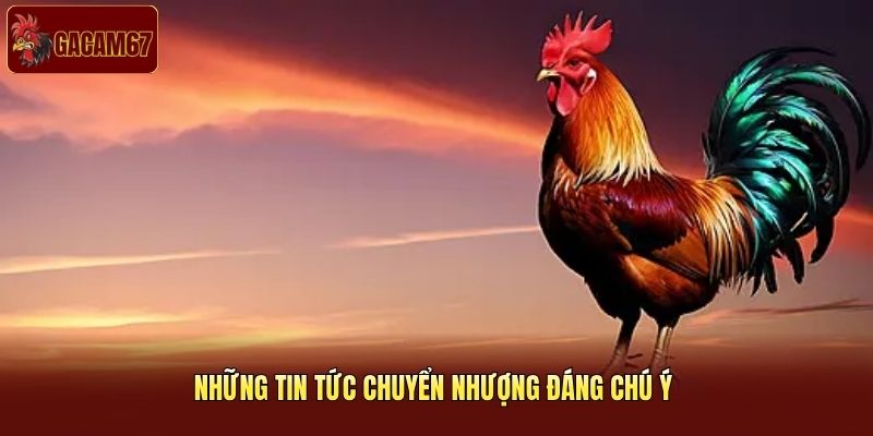 Những tin tức chuyển nhượng đáng chú ý Những tin tức chuyển nhượng đáng chú ý