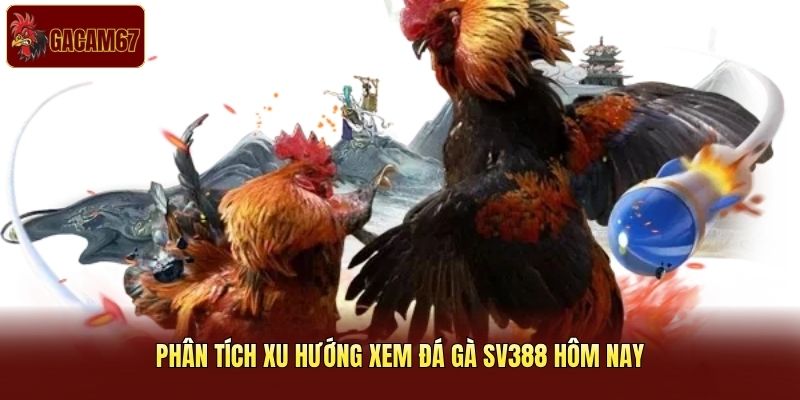 Phân tích xu hướng xem đá gà SV388 hôm nay Phân tích xu hướng xem đá gà SV388 hôm nay