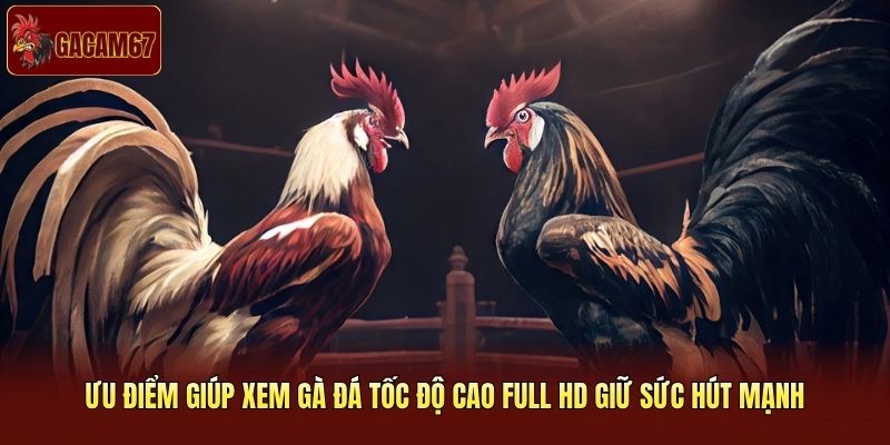 Ưu điểm giúp xem gà đá tốc độ cao full HD giữ sức hút mạnh
