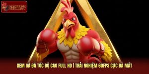 Xem Gà Đá Tốc Độ Cao Full HD | Trải Nghiệm 60FPS Cực Đã Mắt