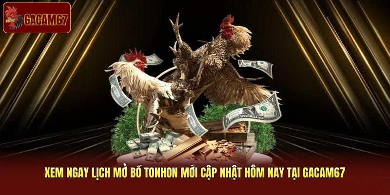 Xem Ngay Lịch Mở Bồ Tonhon Mới Cập Nhật Hôm Nay Tại Gacam67