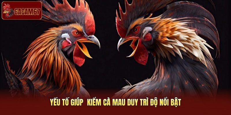 Yếu tố giúp trận gà gây bão cộng đồng mạng liên tục phủ sóng Yếu tố giúp trận gà gây bão cộng đồng mạng liên tục phủ sóng