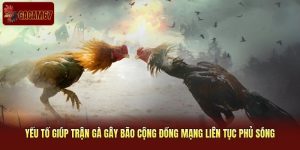 Trận Gà Gây Bão Cộng Đồng Mạng Gacam67 Kịch Tính Nhất 2026